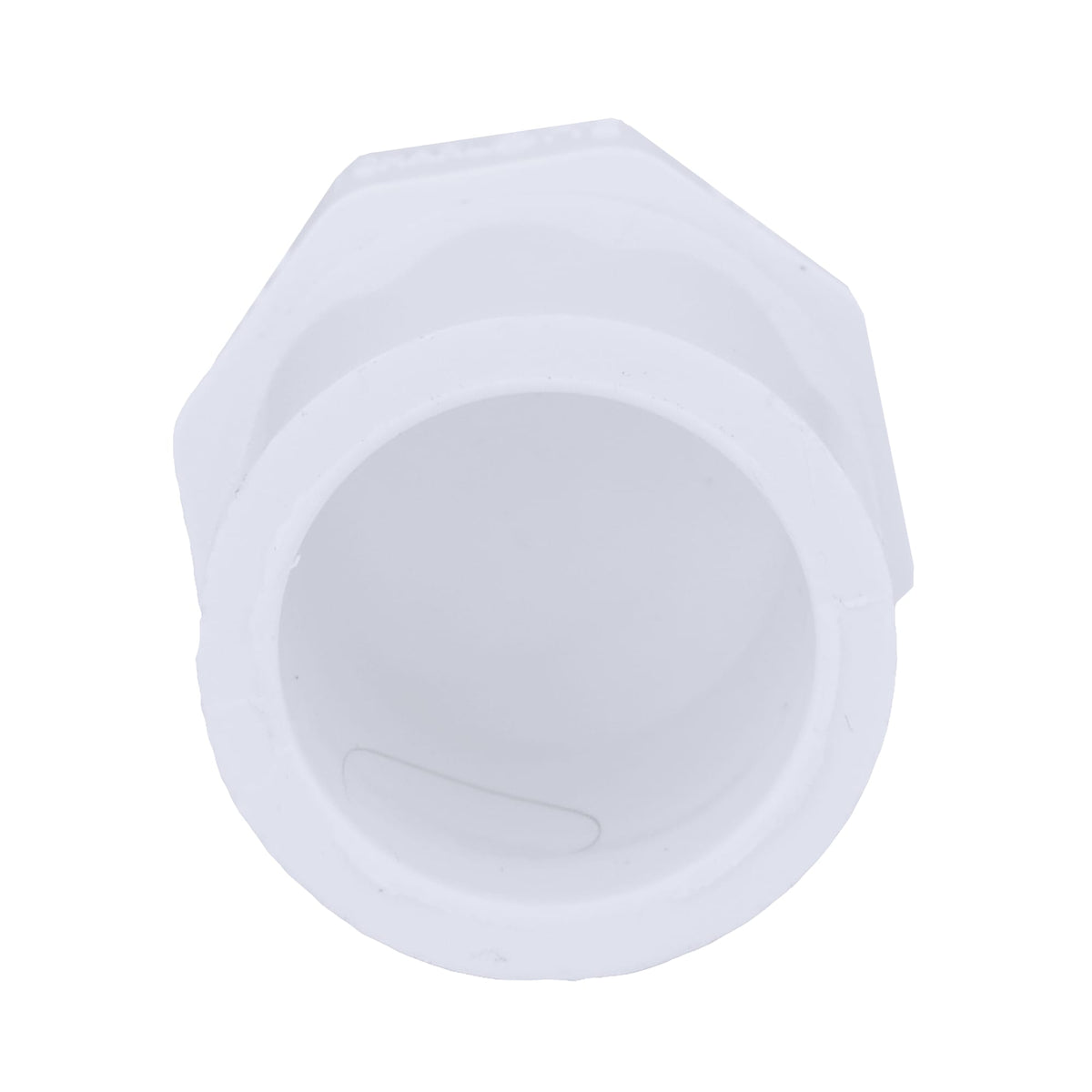 Charlotte Pipe 3/4" PVC SCH40 Plug - Spigot