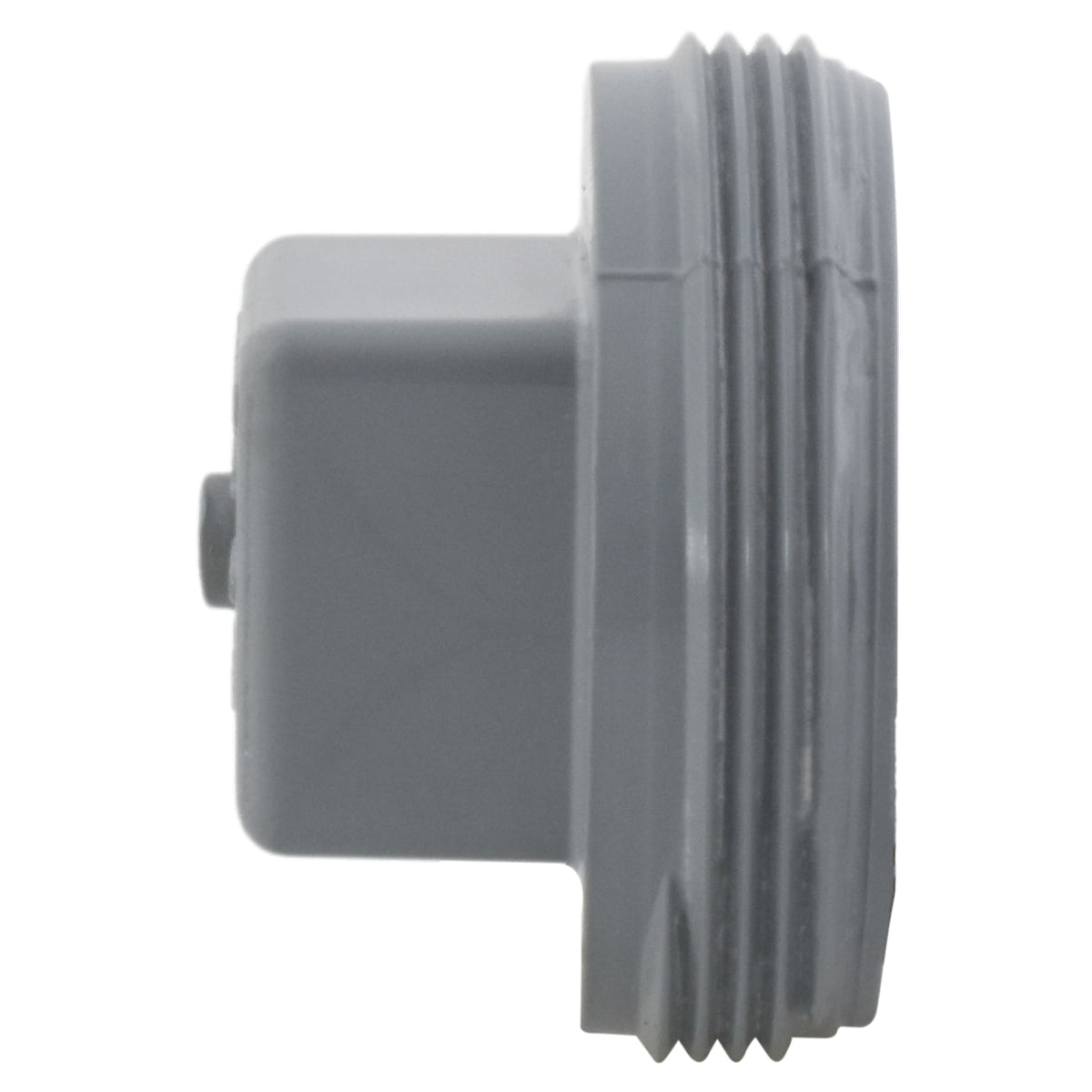 Charlotte Pipe 2" Cleanout Plug MIP CPVC Chemical Drainage Fitting
