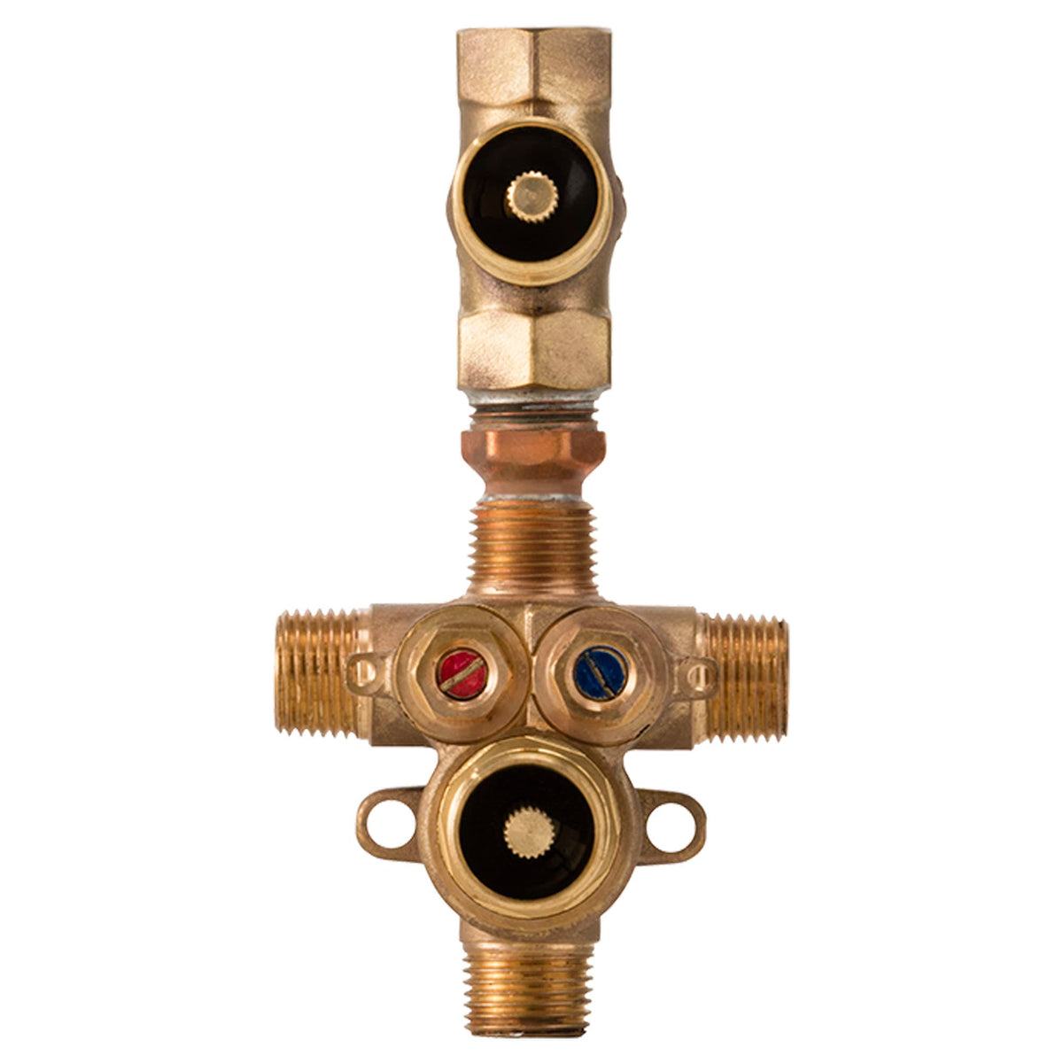 DXV 2-Handle Thermostatic Rough Valve with Volume Control