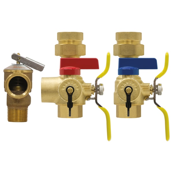 1" FIP Union x FIP Combi Boiler Valve Kit with PRV Outlet and PRV LF