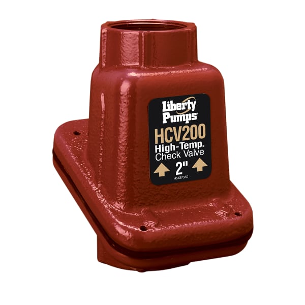Check Valve, High Temp, Cast Iron, 2" NPT