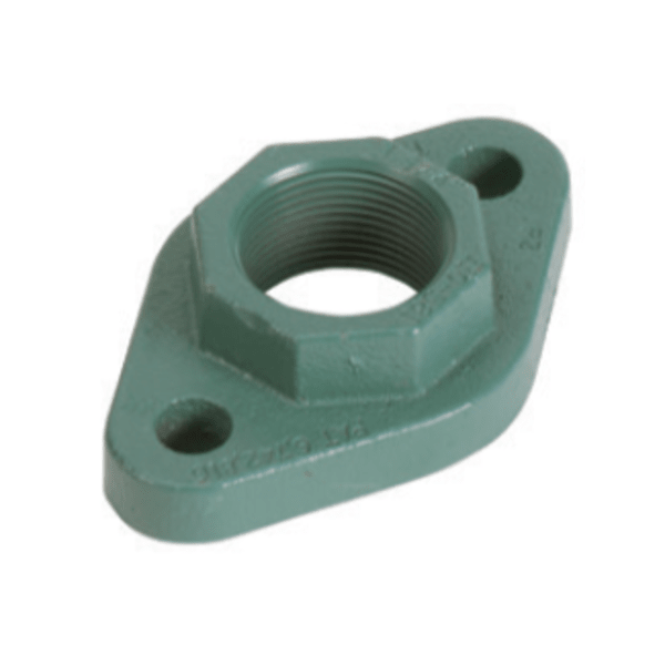 Freedom Flange Set - Cast Iron, 2 bolt, 1" NPT; Fits - All "00" (not 0012). 110-113, 2400-10/20/45/50, HEC-2, 007e, VT2218, VR1816, and VR3452