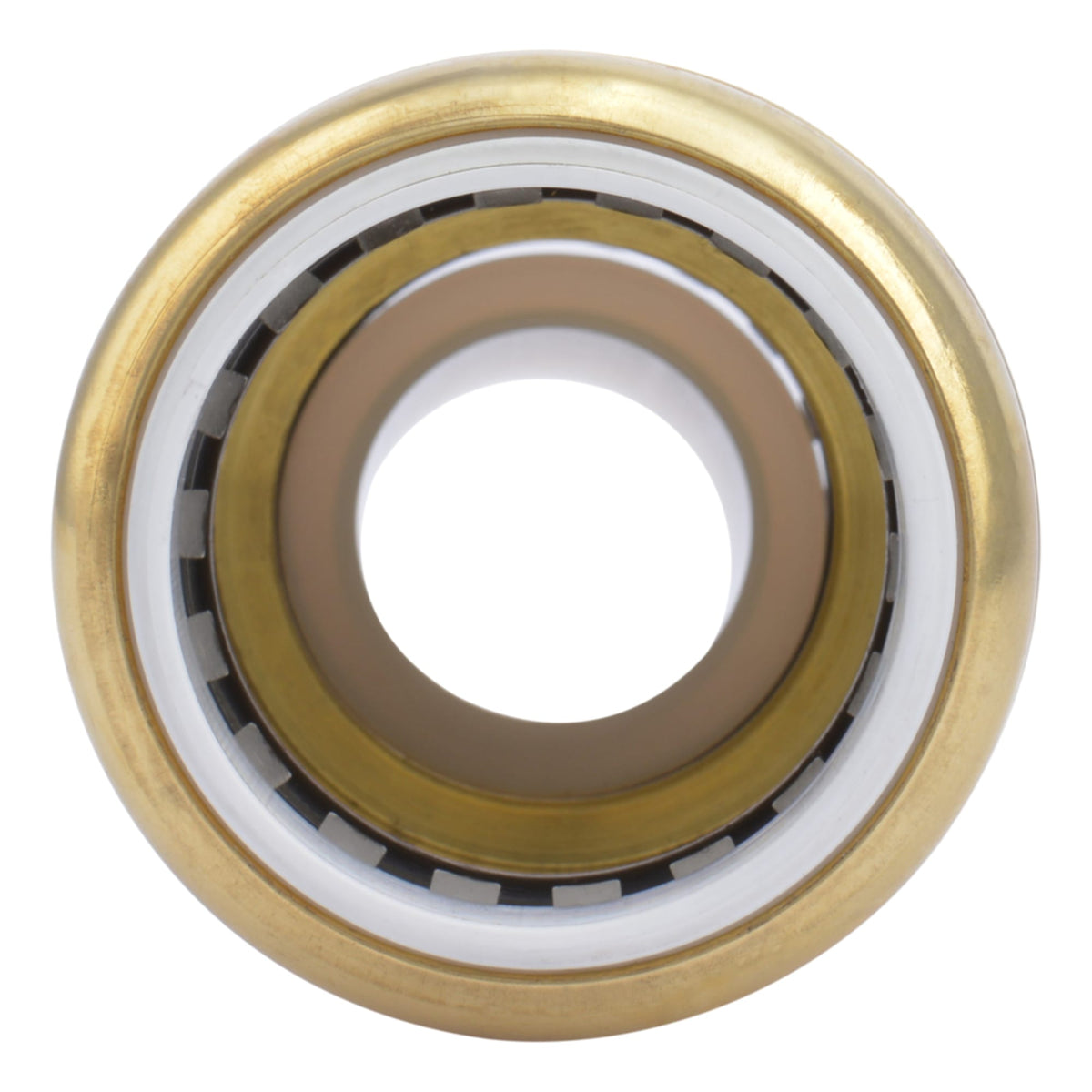 1" SharkBite PVC Transition Coupling