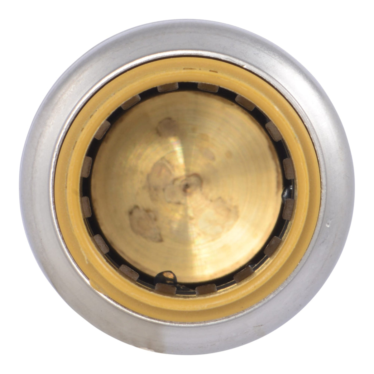1/2" SharkBite Max End Cap
