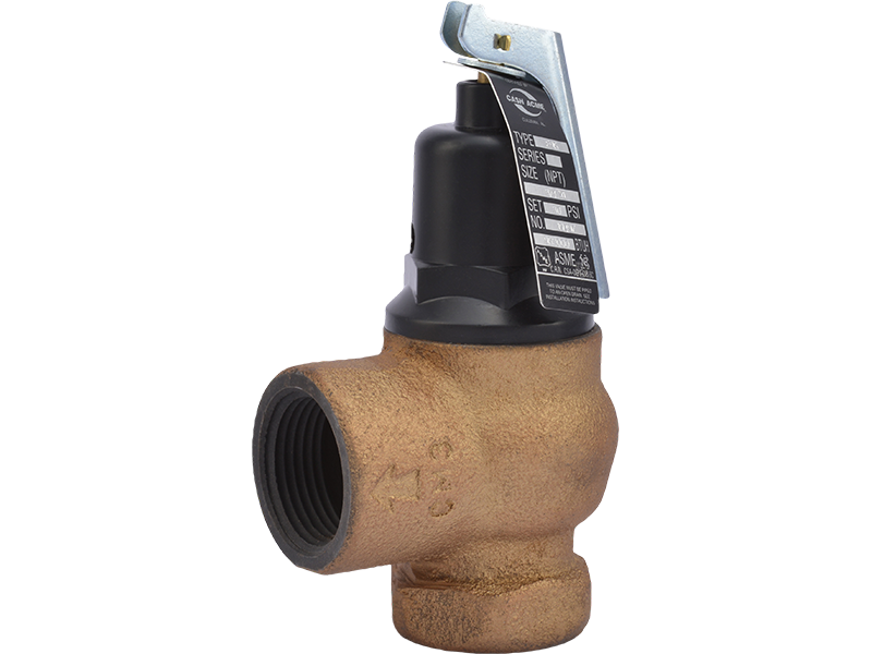 Cash Acme 19497-0050 F95 3/4-in X 1-in 50PSI Iron Body