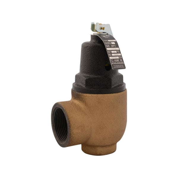 F95 1-in X 1-1/4-in 30PSI Iron Body