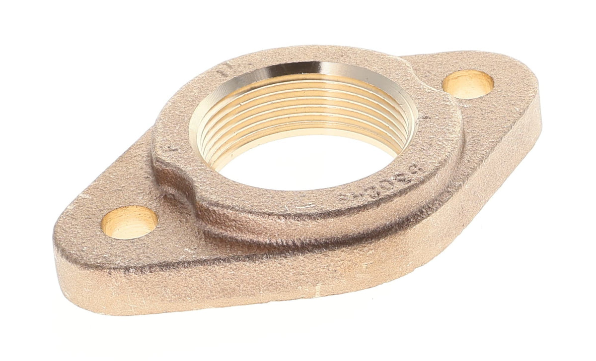 Grundfos 1" Bronze Pump Flange - FIP (Set)