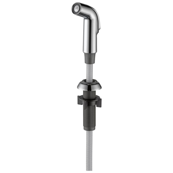 Delta Side Spray & Hose Assembly Chrome