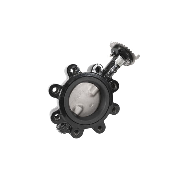 2" - Lug Style, Epoxy-Coated Ductile Iron Body, Stainless Steel Disc