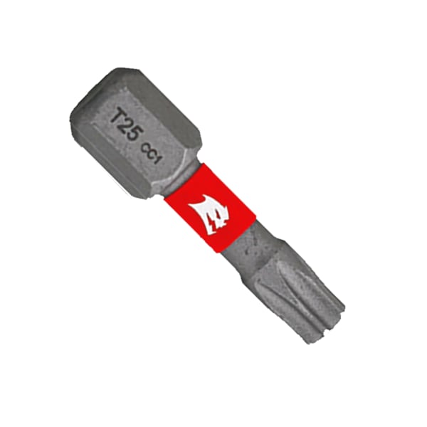 1" #25 Torx Drive Bits (25-Pack)